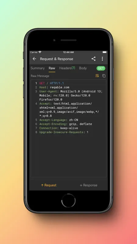 Reqable screenshot 5 of 6