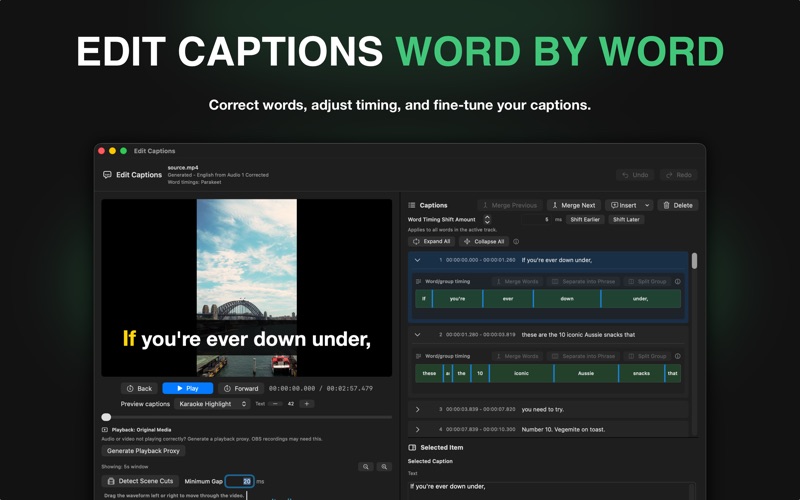 Caption Comet screenshot