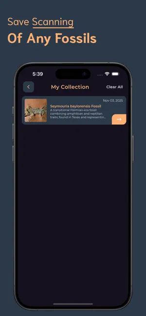 Fossil Identifier - FI screenshot 4