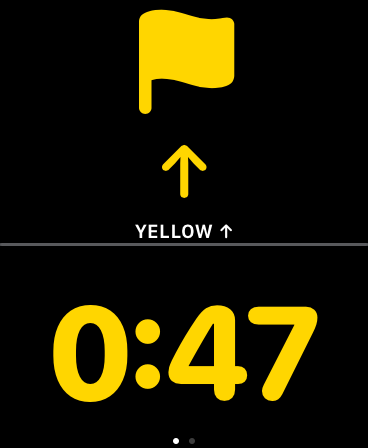 RacerTime screenshot 12