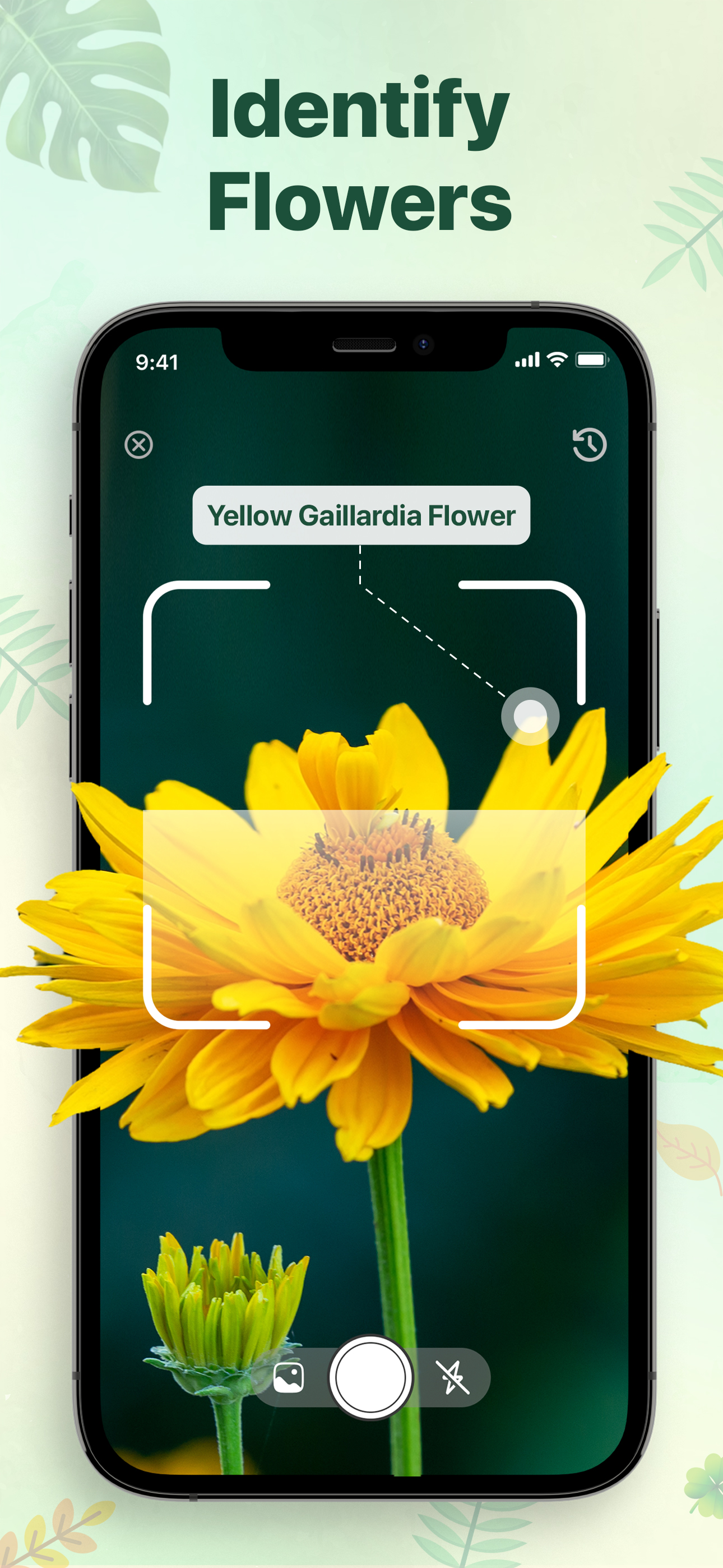 Plant Identifier • Plants App
