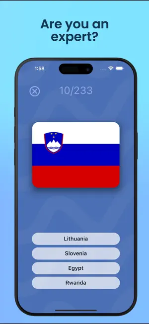 Guess The Flag! screenshot 3
