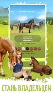 lowadi айфон картинки 1