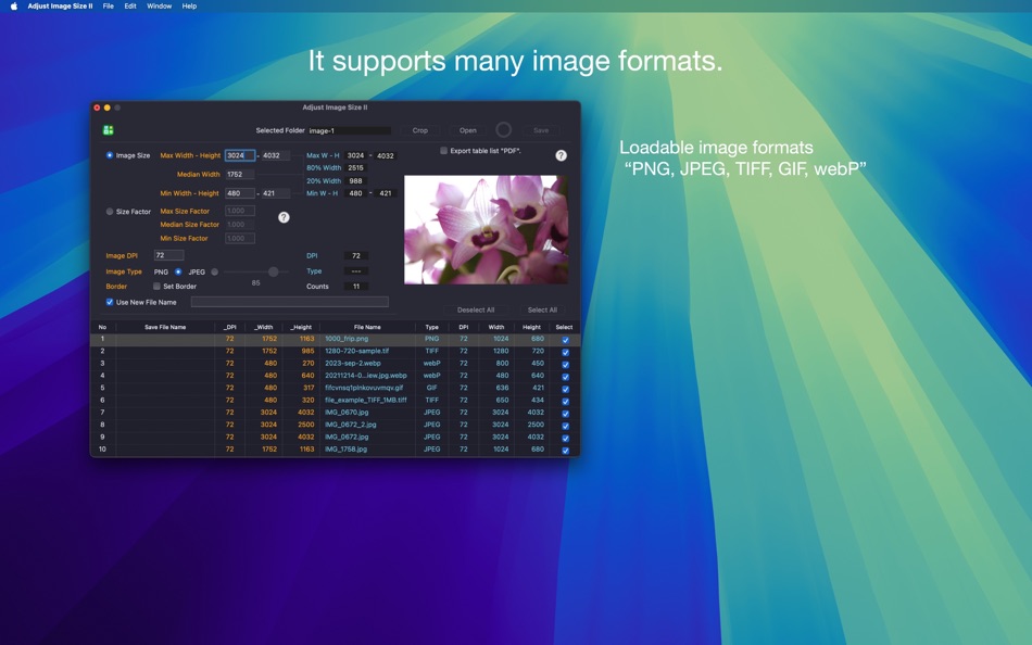 #2. Adjust Image Size II (macOS) 来自: Kunio Takeuchi