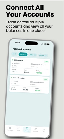 BeyondPips screenshot