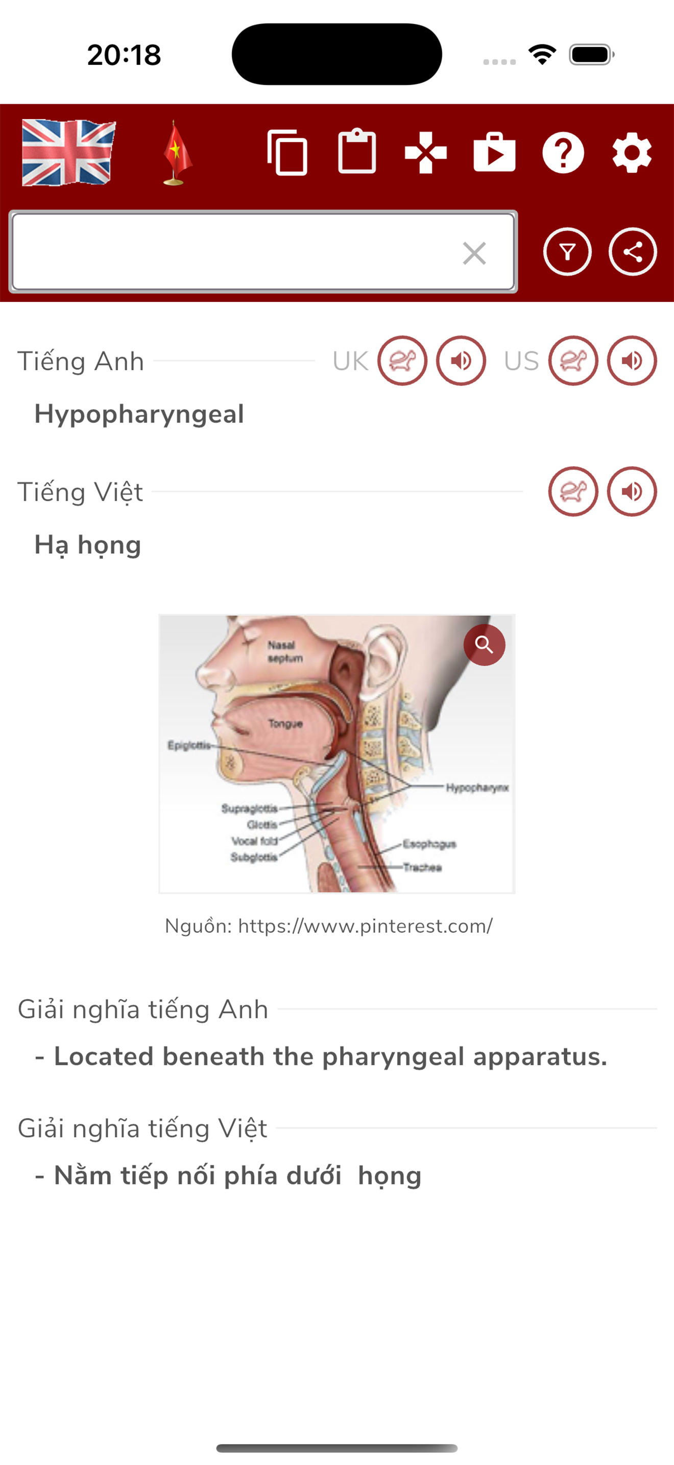 Từ điển Tai Mũi Họng screenshot 5