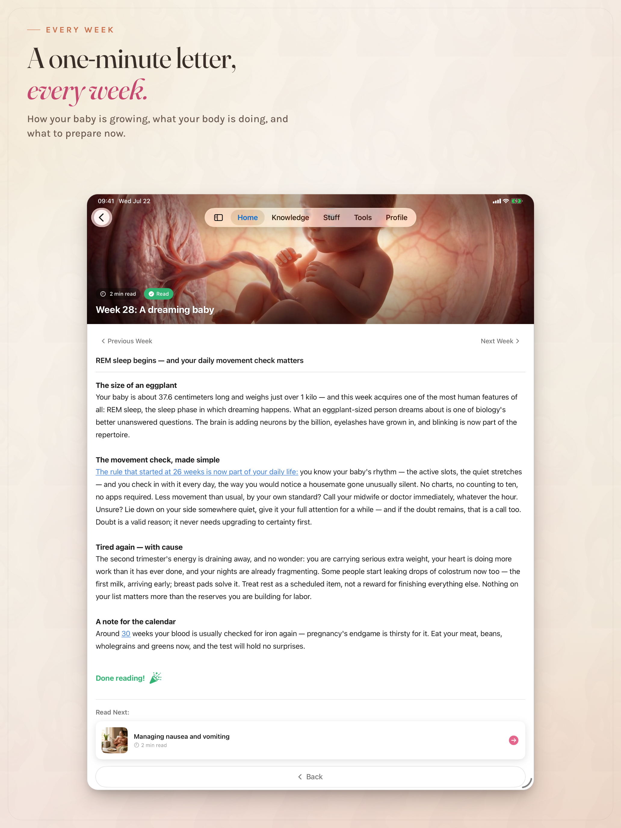 Novamilli screenshot 11