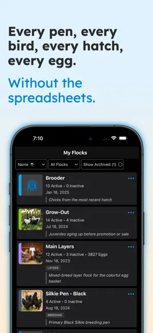 Flockstar screenshot 1