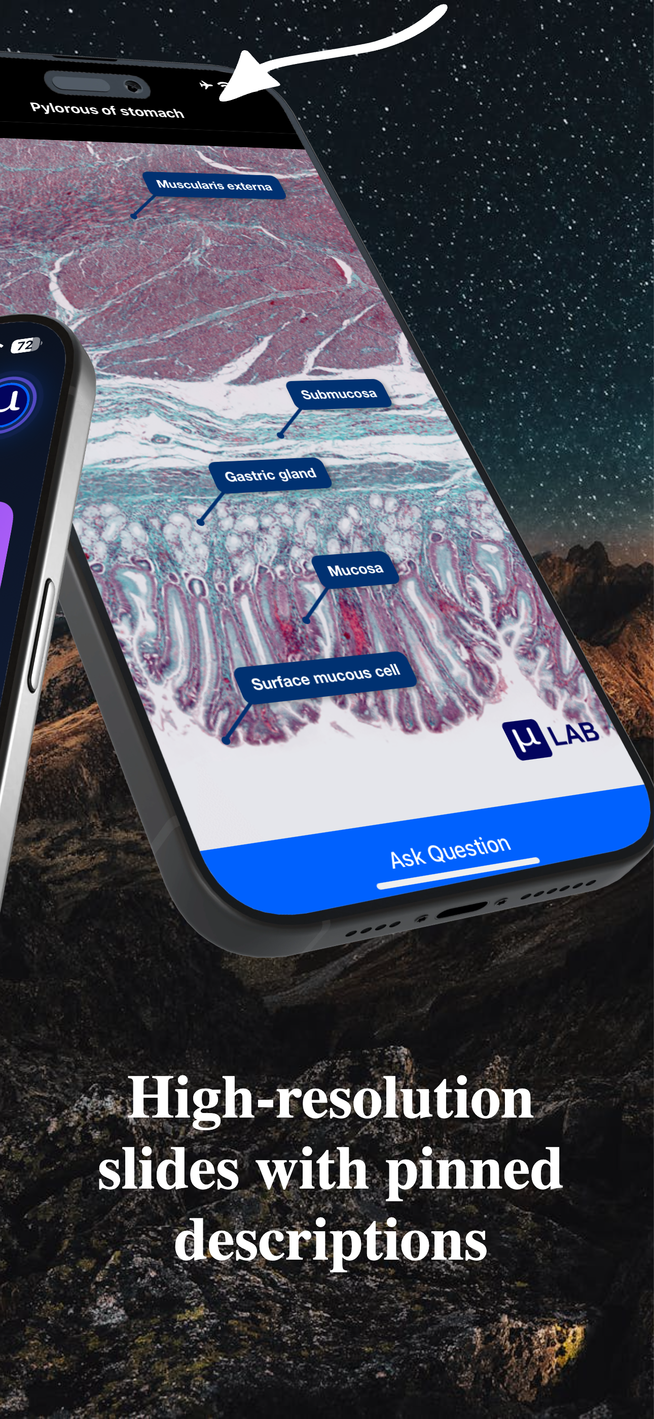 Microlab-Histology Slides & AI screenshot 2