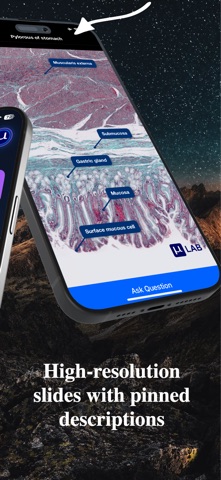 Microlab-Histology Slides & AI screenshot