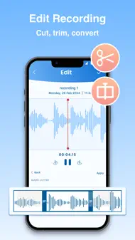 Voice Recorder with Memo iphone bilder 1