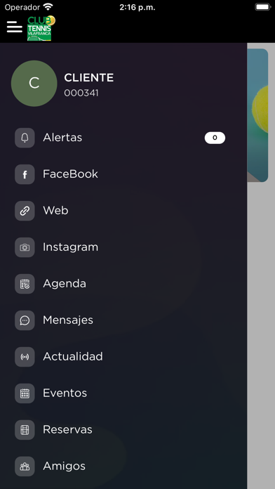 Club Tennis Vilafranca Screenshot