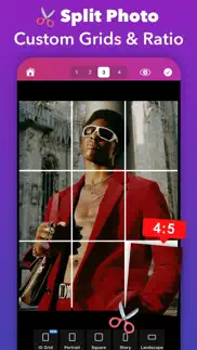 griddy: split photo grid posts айфон картинки 3