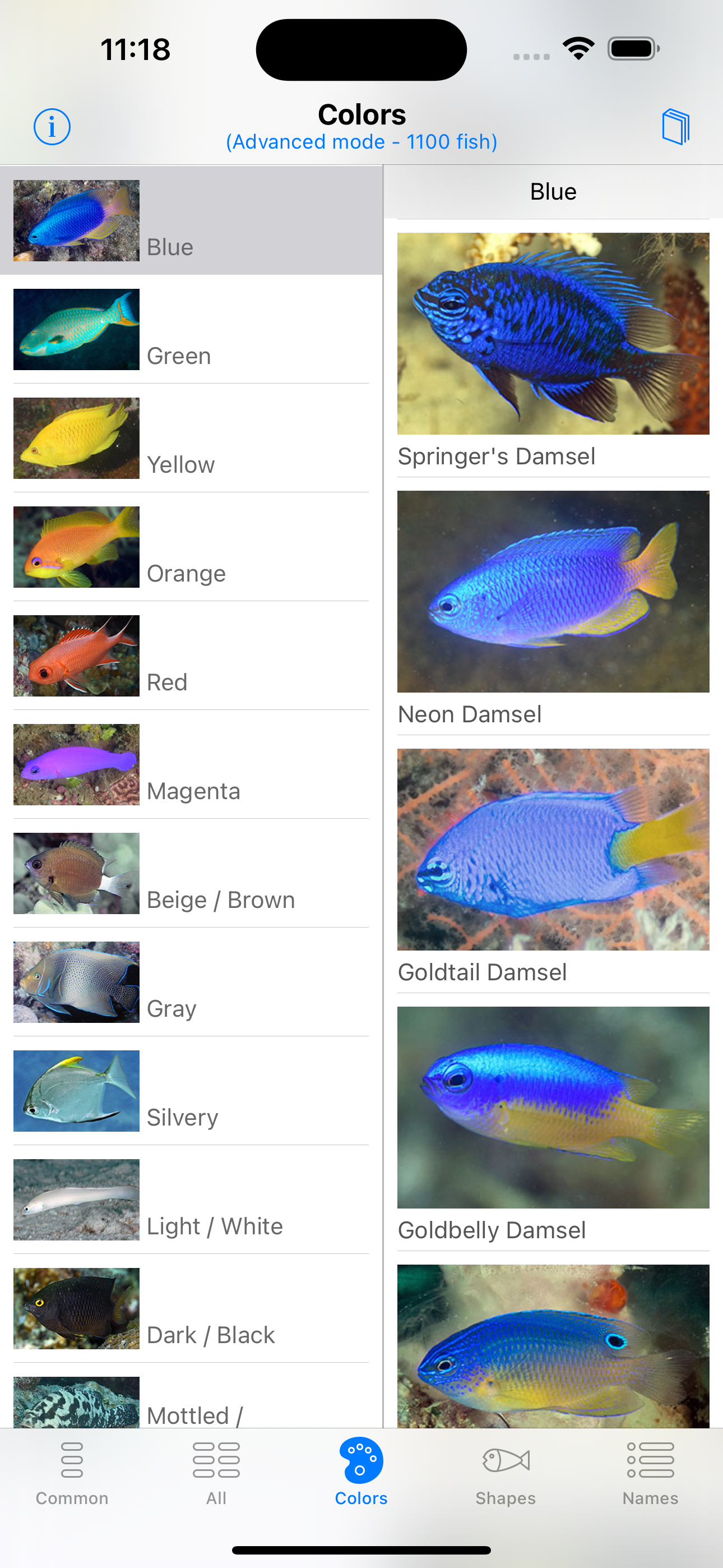 Philippines Fish ID