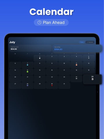Payment Tracker: PayPing iPad screenshot