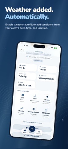 Catch Pins screenshot 4