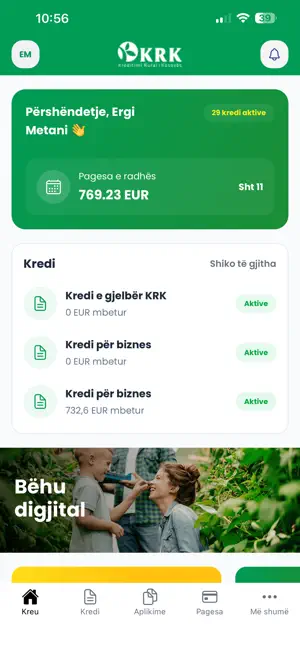 KRK Digital Loan screenshot 1