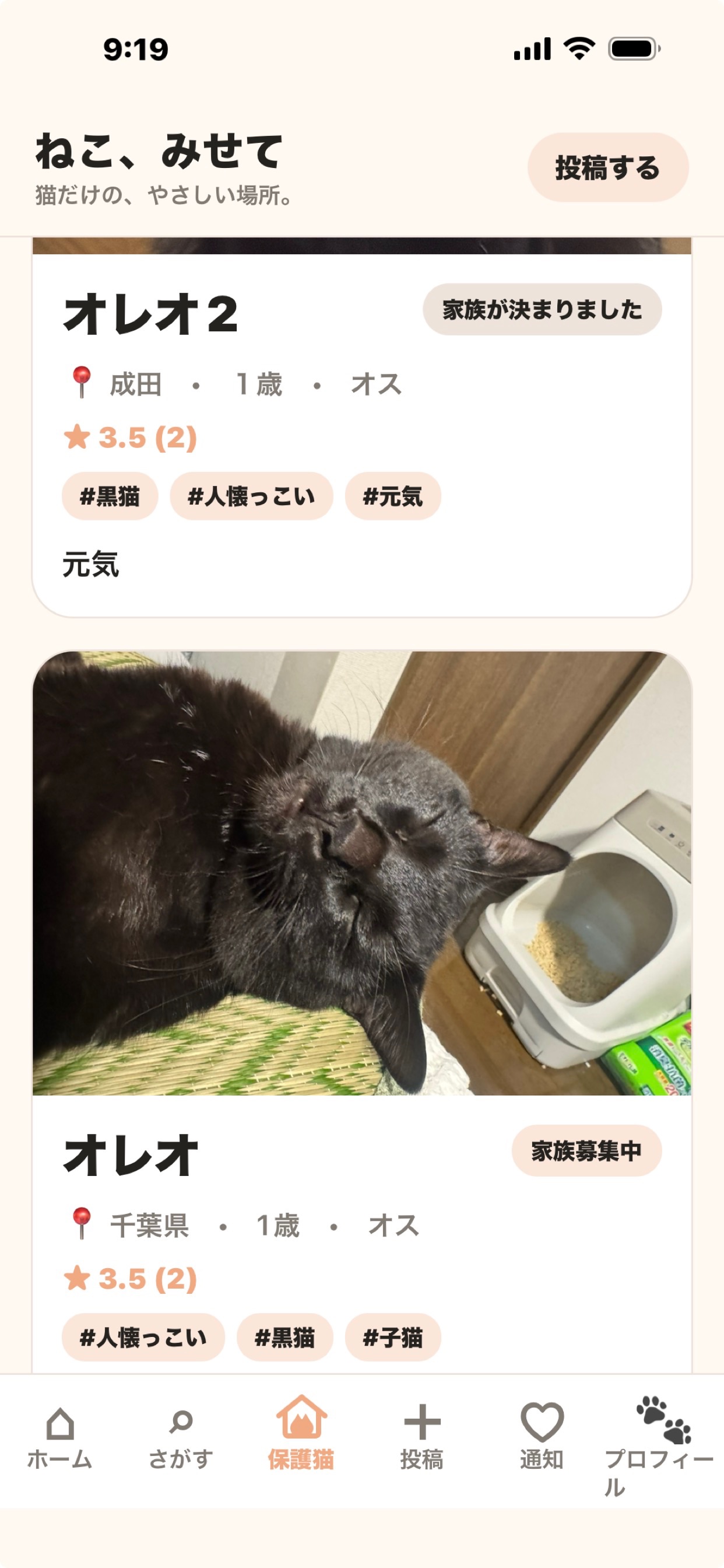 Screenshot 2 of ねこ、みせて