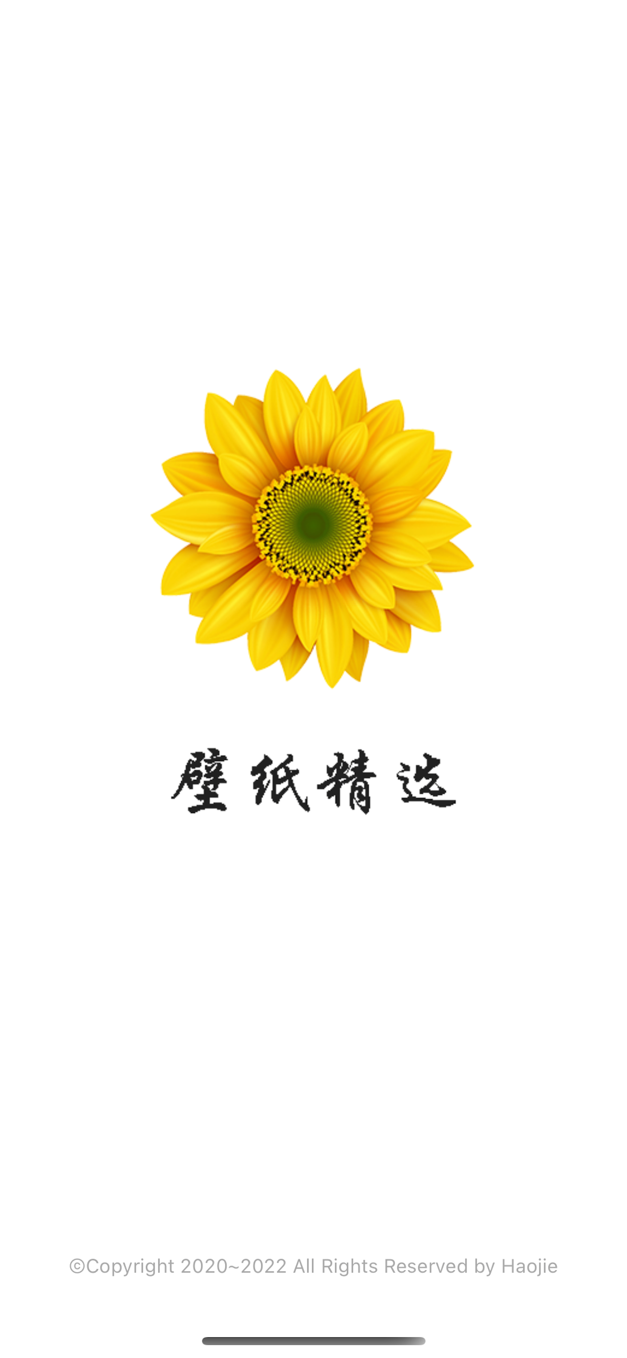 壁纸精选 - 高清大图锁屏背景，引领精致多彩生活