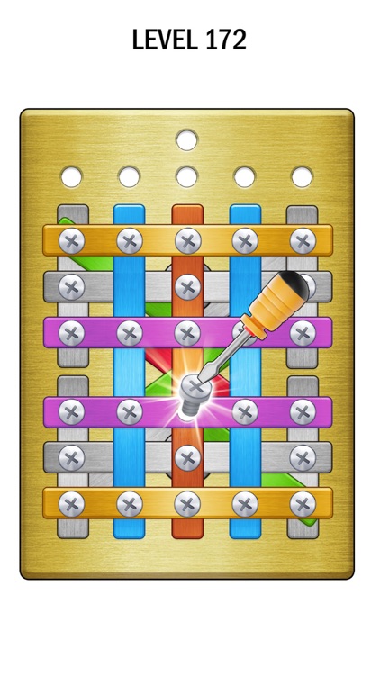 Screw Puzzle screenshot-5