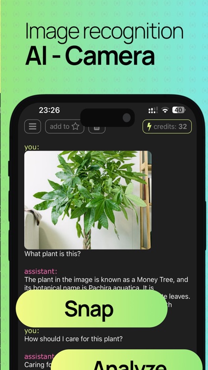 Typify - AI Chat Bot Assistant