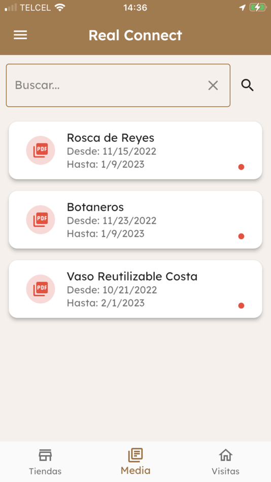 #3. RM Connect 2029 (iOS) Podle: Real Metrics, S.A. de C.V.