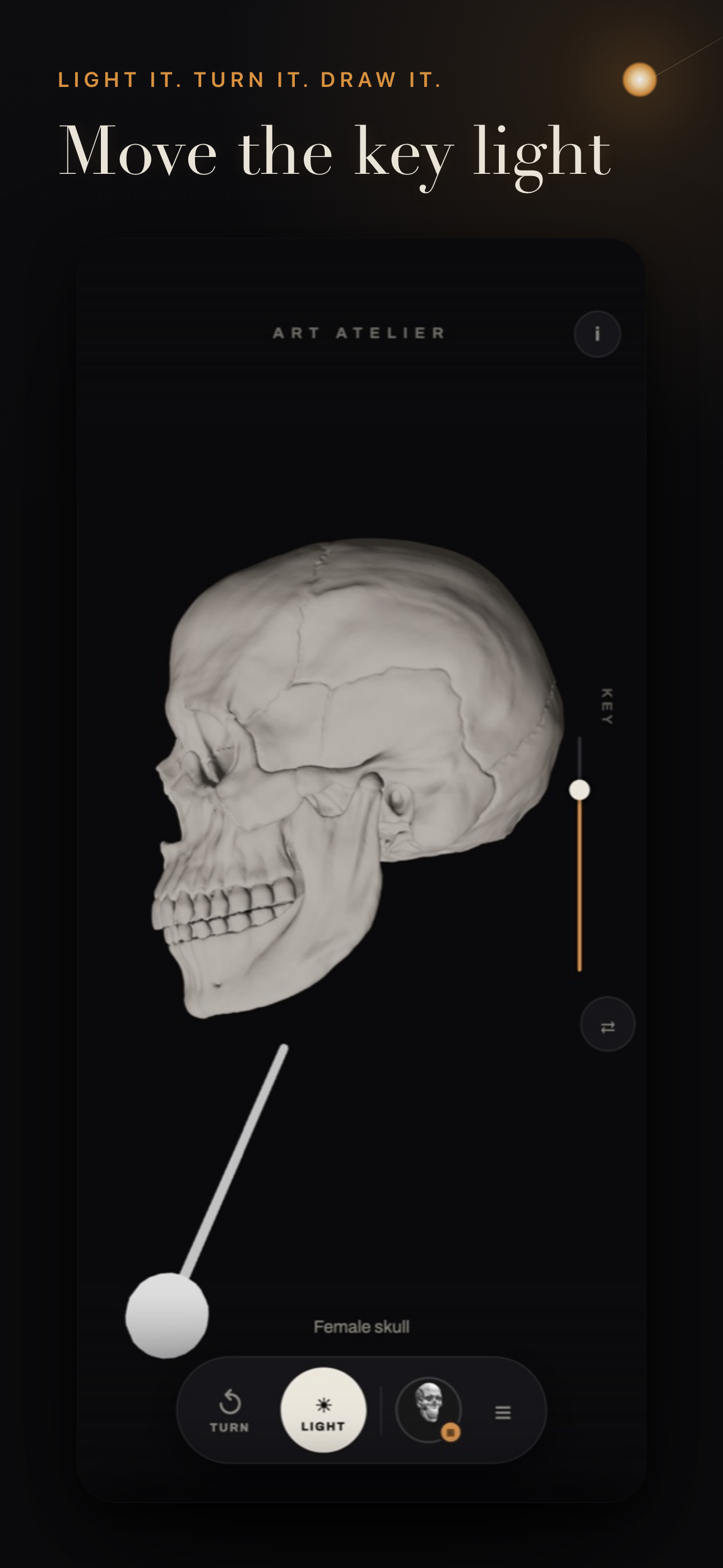 Art Atelier: Anatomy & Light screenshot 3