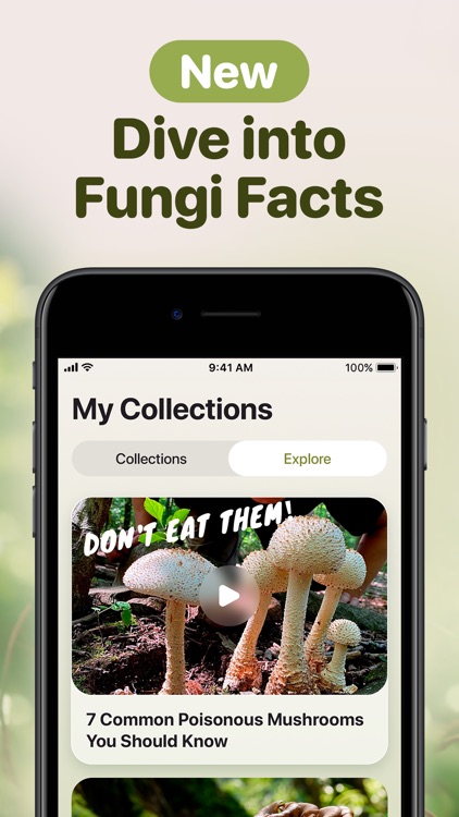 Mushroom ID: Forage Identifier