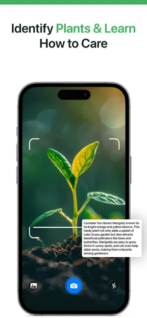 AI Identifier - Scan & Learn screenshot 3