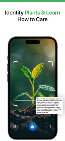 AI Identifier - Scan & Learn Screenshot 3 of 9