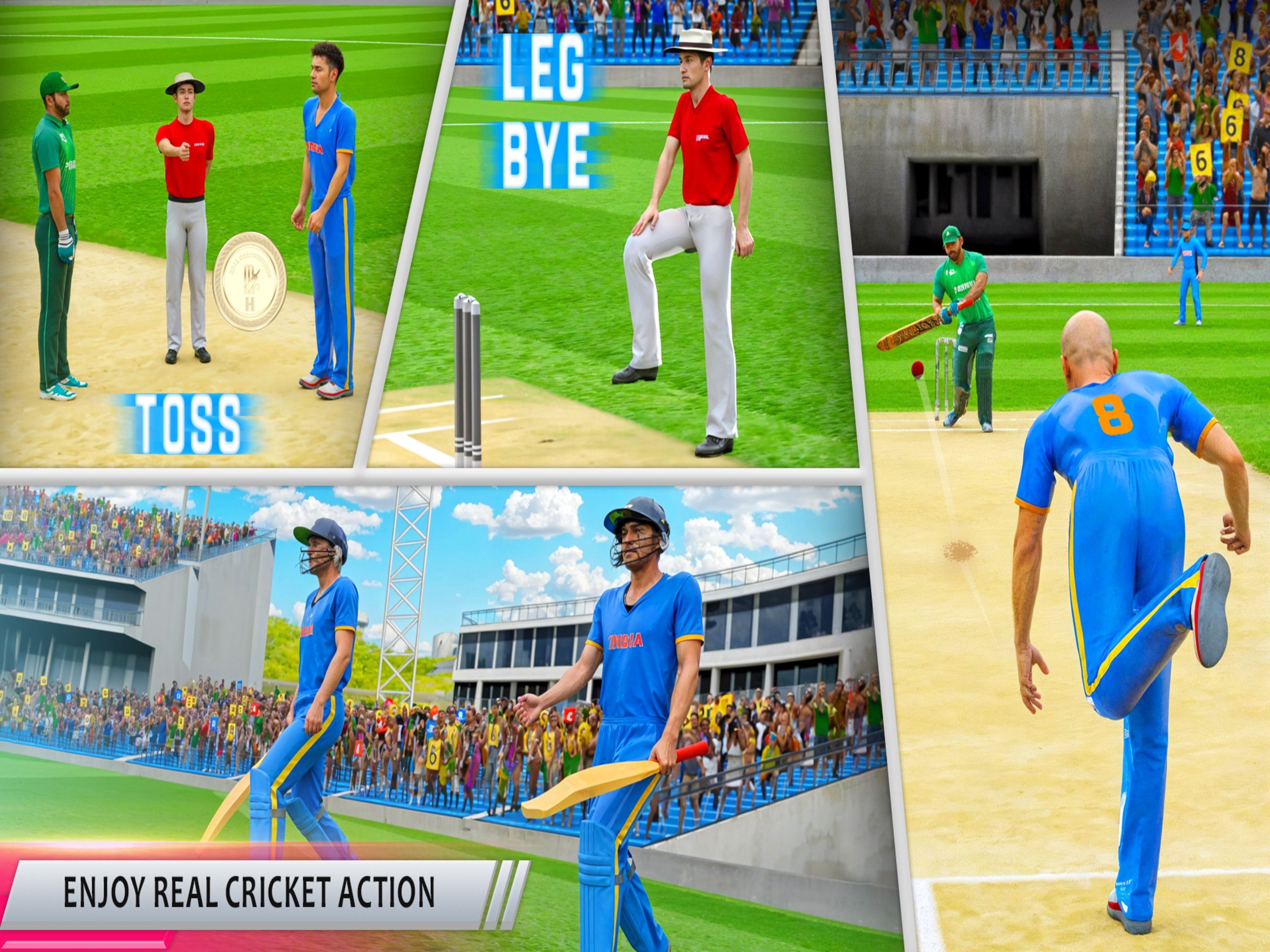 Real Championship Cricket Game
