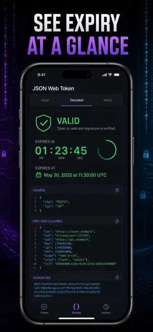 JWT Decoder & Token Inspector screenshot 4
