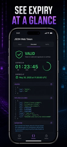 JWT解码器 Token令牌解析验签调试工具 screenshot