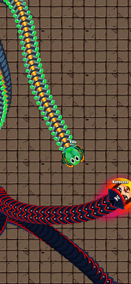 Snake Arena: Battle Royale screenshot 3