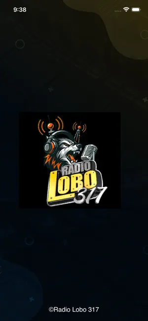 Radio Lobo 317 screenshot 1