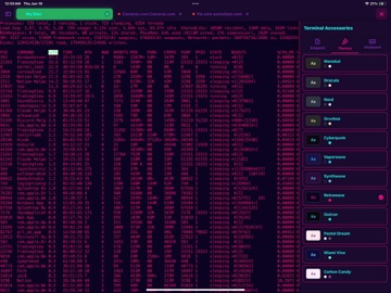 ShadowTerm ssh & mosh Terminal iPad screenshot