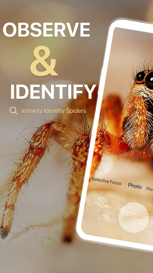 #1. Spiders Identifier by Photo ID (iOS) 来自: Zain ul Abdin