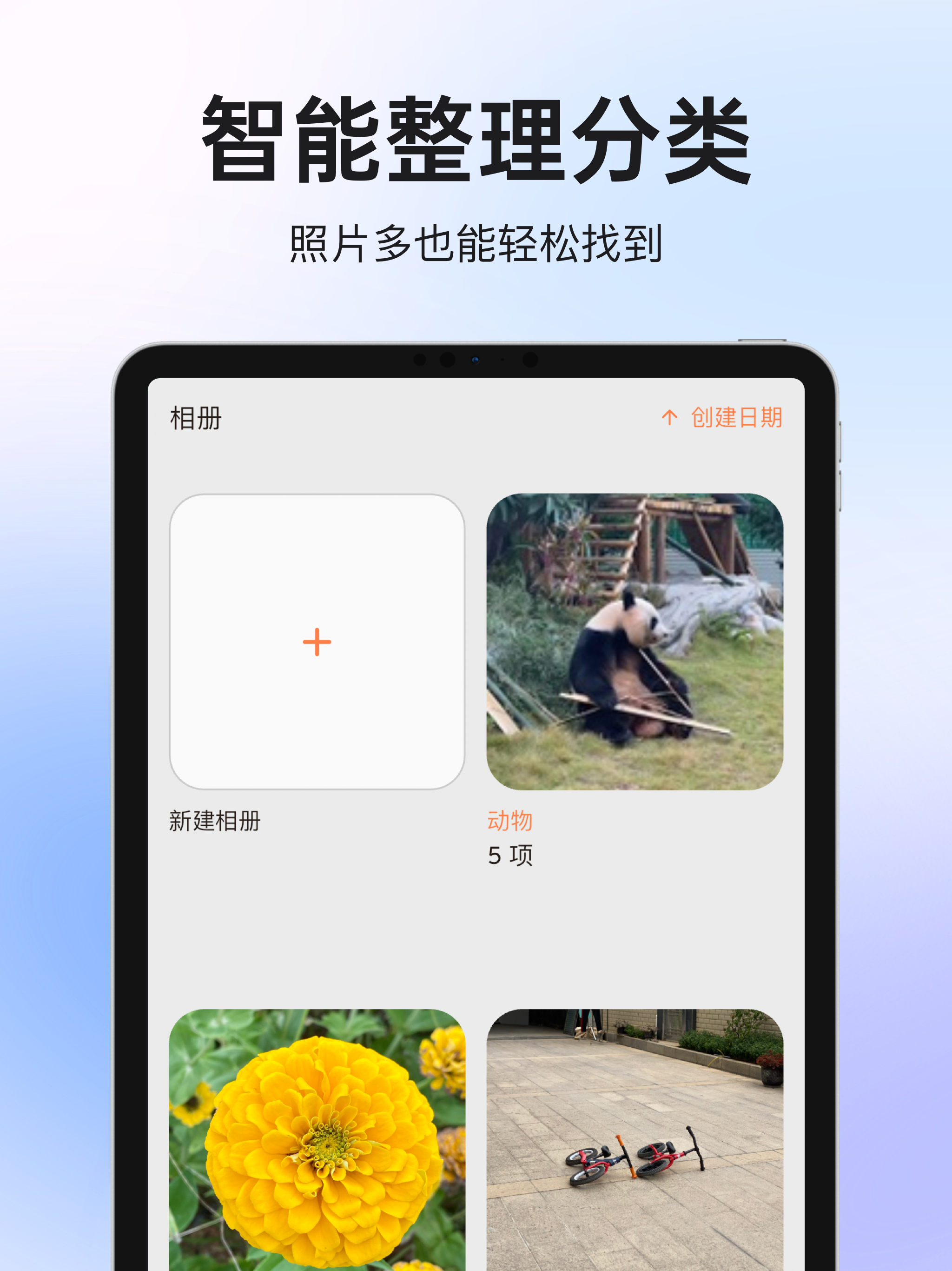 Lenmory screenshot 8
