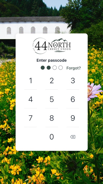 44 North Credit Union Screenshot
