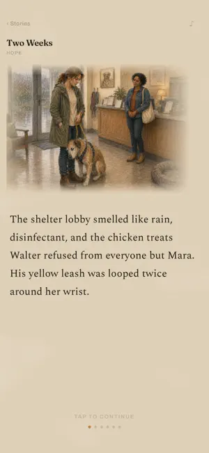 Your Choice: Romance Stories screenshot 3
