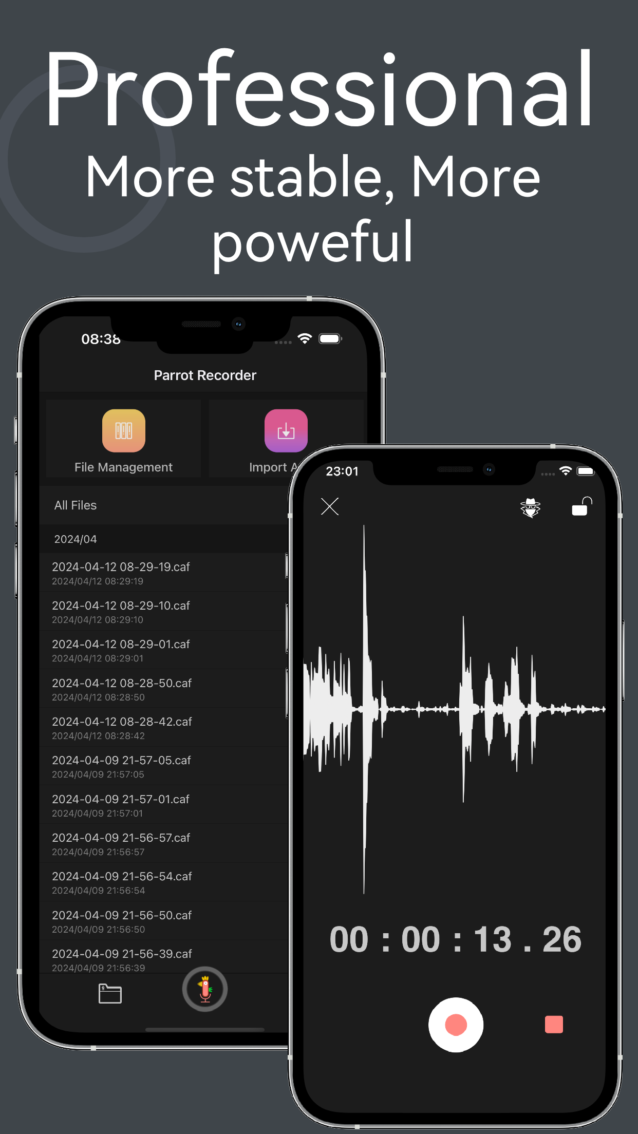 Recorder Pro - Voice Memo
