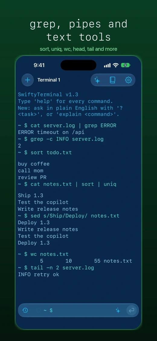 SwiftyTerminal: Terminal Shell screenshot 5