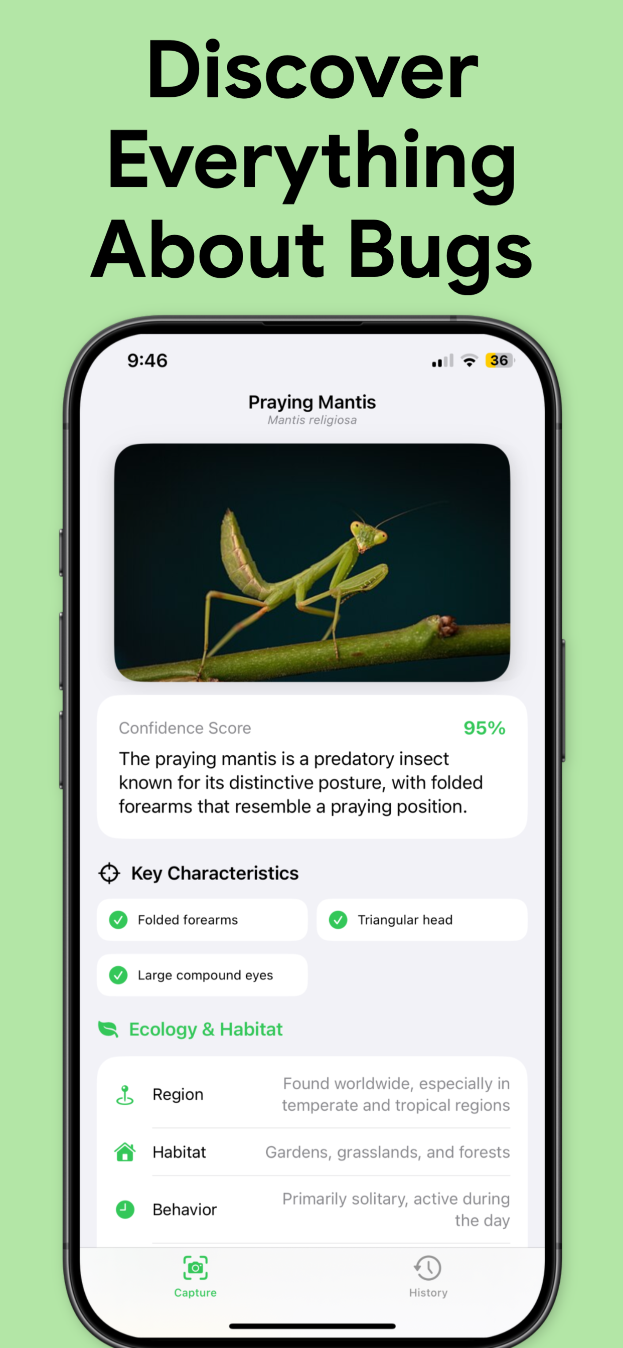 Bug Identifier: Insect Scan screenshot 2