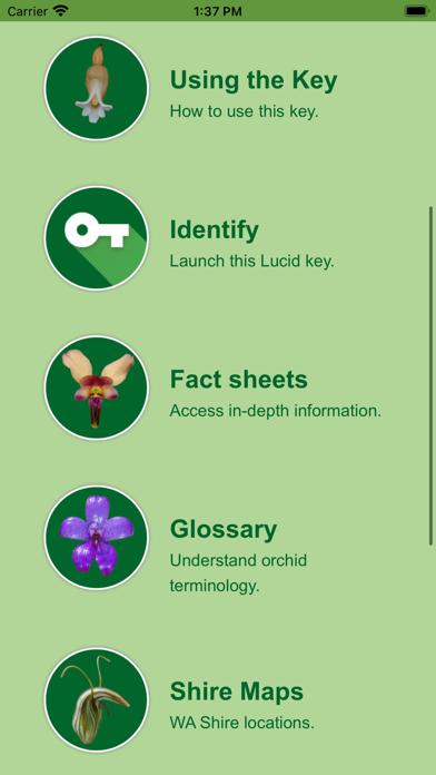 Western Australian Orchid Key Screenshot