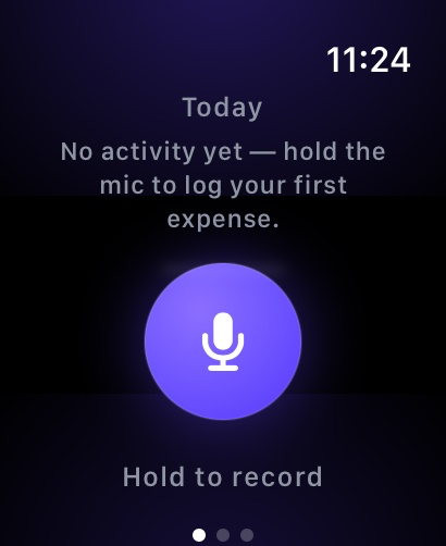 Ledgy Voice Expense Tracker