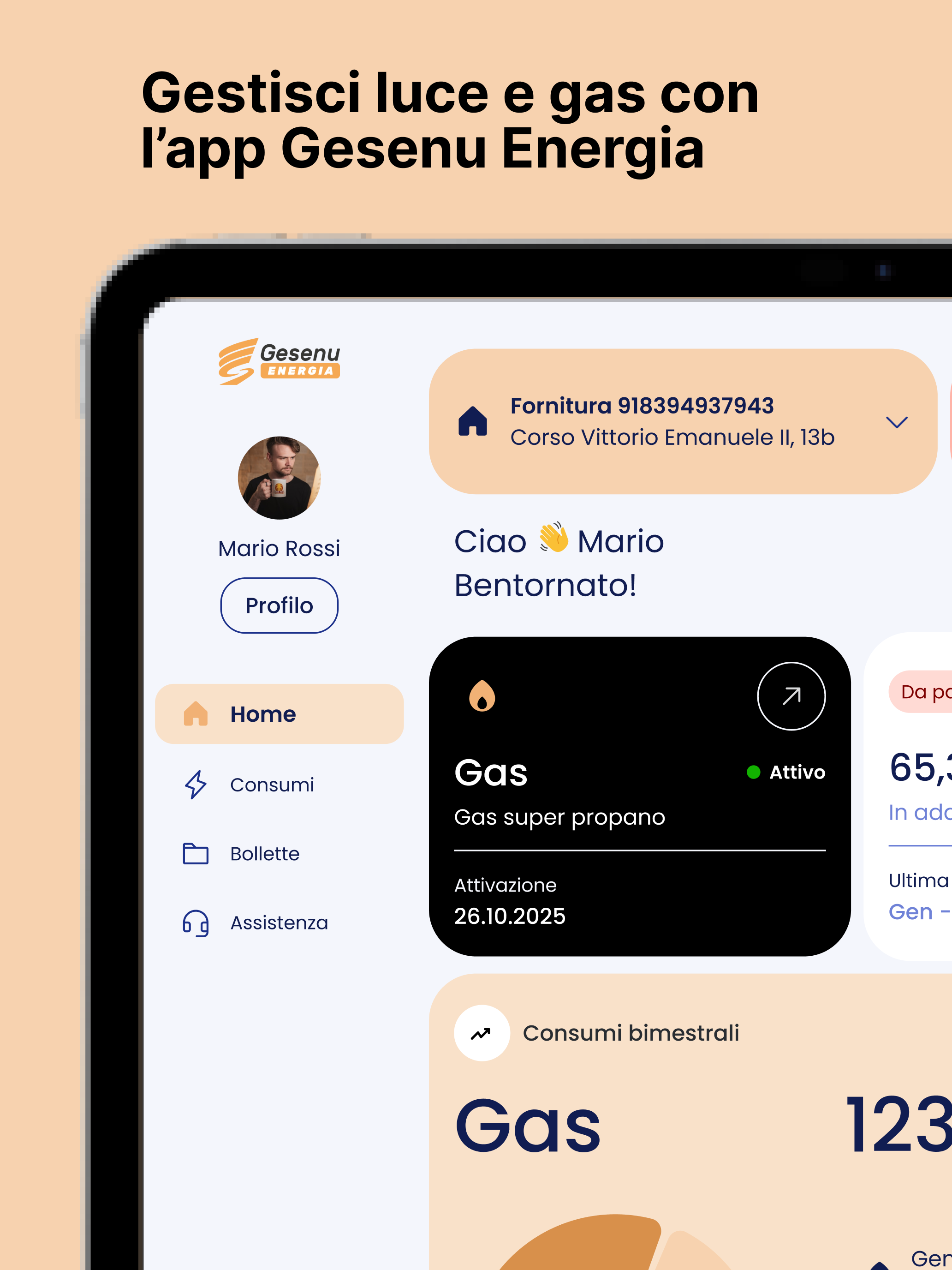 Gesenu Energia screenshot 7