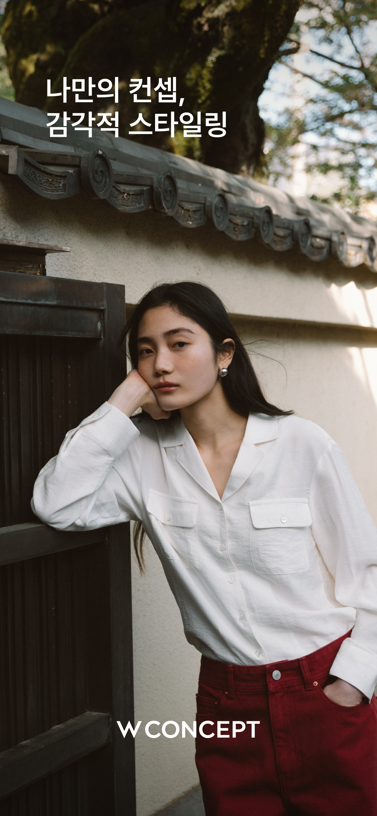 W컨셉