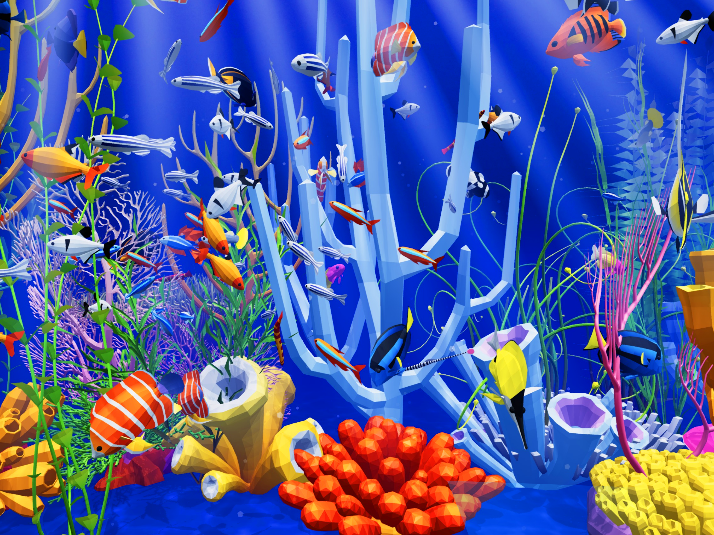 Tayasui Zen Aquarium