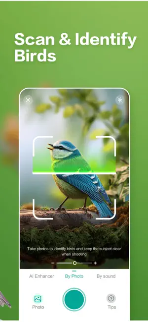 BirdAiSnap-Bird Identify screenshot 3