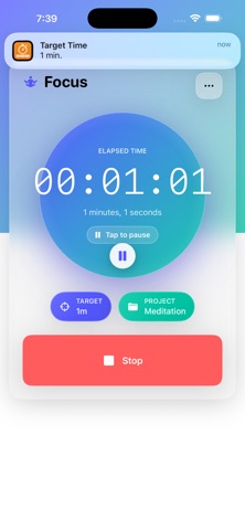 Daily Focus - Timer & Tracker screenshot